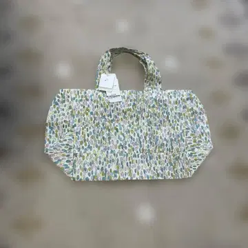 미나 페르호넨 셰리 콩 파니니 백