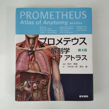 프로메테우스 해부학 코어 아틀라스 제4판 Prometheus Atlas