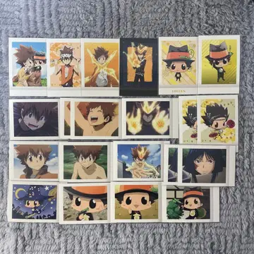 가정교사 히트맨 REBORN! 파샤코레