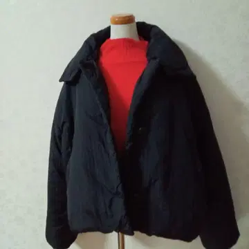 넥 디자인 숏 충전솜 MOUSSY ZARA GU 잉그 로데오