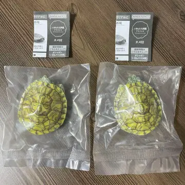 생물대도감 거북 02 미시시피붉은귀거북 (파스텔) 2개 세트