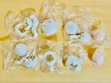 자유 주장 디지털 반려동물의 가상 세계 무도색 헤어 부품 세트 6종