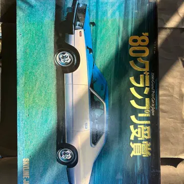 스카이라인 재팬 패널