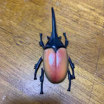 오렌지와 블랙 곤충 피규어