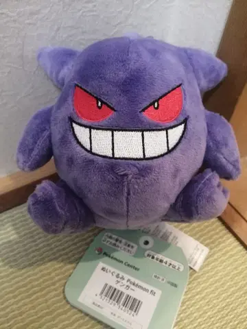 포켓몬 센터 봉제 인형 포켓몬 fit 겐가