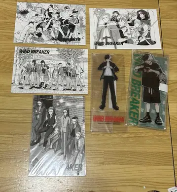 WIND BREAKER 윈드브레이커 사쿠라 하루카