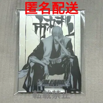 BLEACH 메탈릭 마그넷 긴