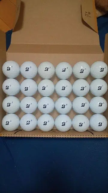 BRIDGE STONE TOUR Bxs 로스트 볼 24구