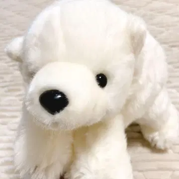 봉제 인형 북극곰 동물원 굿즈 AQUA 누워있는 복슬복슬