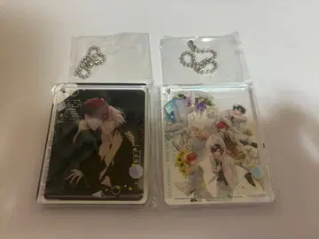 세라피 게임 애니메이트 카페 코롯타