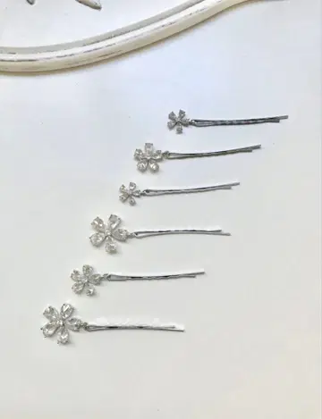 ANNAN WEDDING 헤어 스타일링 핑 6개 세트