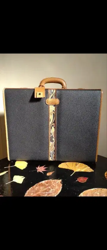 LEONARD 프랑스 가방