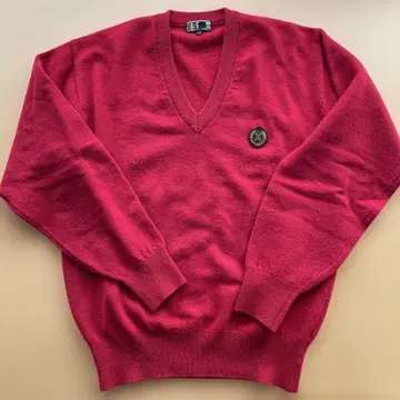 D AKS 빨간색 V넥 스웨터 (남성용 M 사이즈)