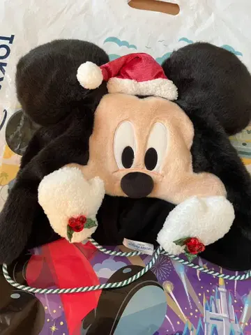 디즈니 크리스마스 2025 팬캡 미키