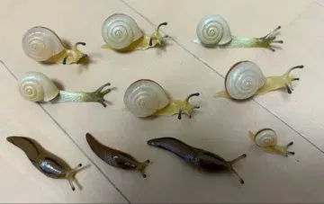 달팽이와 민달팽이 가챠가챠