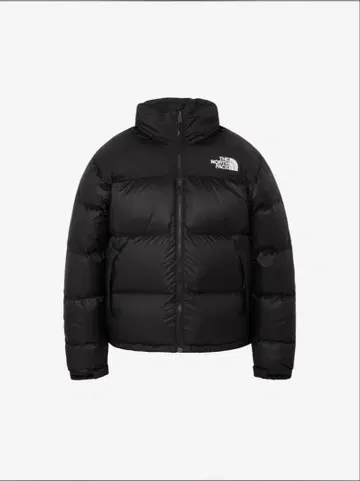 THE NORTH FACE 눕시 자켓