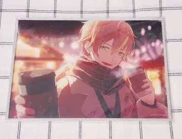 프로세카 하피콜레 시노노메 아키토 벌스데이 색지 복권 비비버스