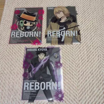 가정교사 히트맨 REBORN! 클리어 파일 3종