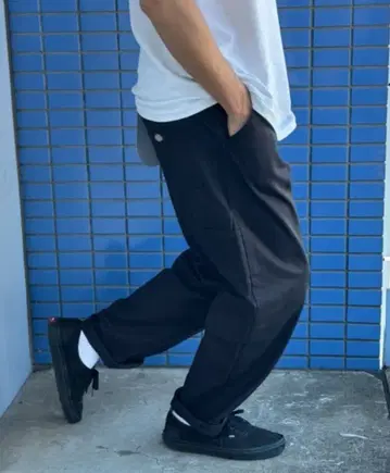 25FW Dickies 페인터 이지 팬츠