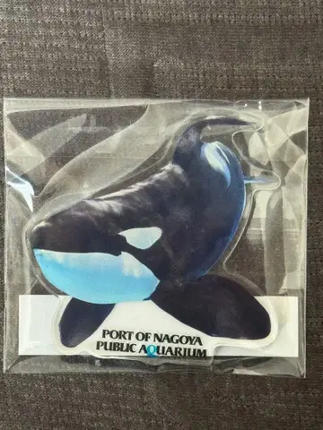 나고야항 수족관 아크릴 마그넷 어스 범고래