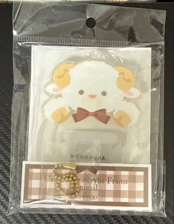 fanfancy 아크릴 프레임 히츠지 양