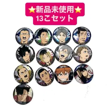 하이큐 캔뱃지 쓰레기장의 결전 13개 세트 미사용 새상품