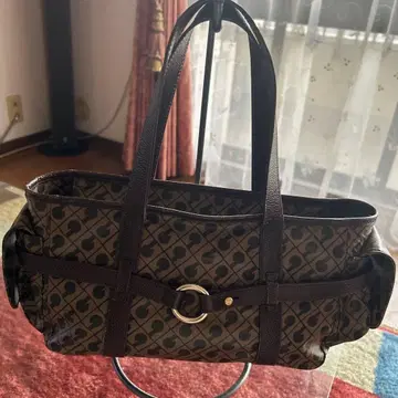 게랄리 브라운 백