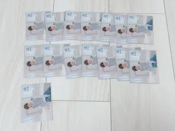 Mrs. GREEN APPLE 포토 카드 젠진 와카이 히로토 15장