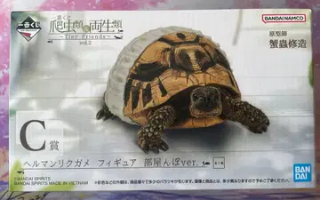 파충류 & 양서류 C상 헤르만육지거북