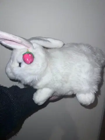 토끼 봉제 인형 딸기 포함