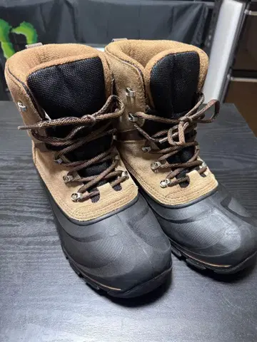 SOREL BUXTON 소렐 벅스턴