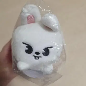 skzoo 리빗 백참 미개봉