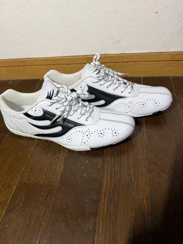 26.5cm 드래곤 비어드 스니커즈 dragonbeard db-680s