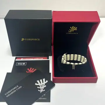 [ 미사용품 ] COREFORCE 루프 화이트 SUS70