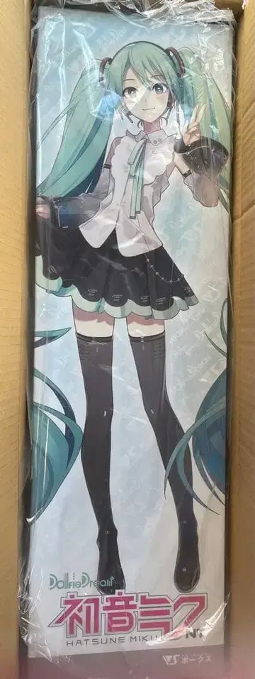 DD 하츠네 미쿠 nt