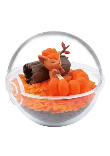 리멘트 로콘 테라리움 컬렉션