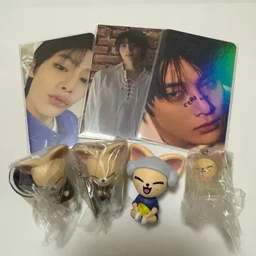 아이엔 세트 (트레이딩 카드 SKZOO 가챠) 덤 포함