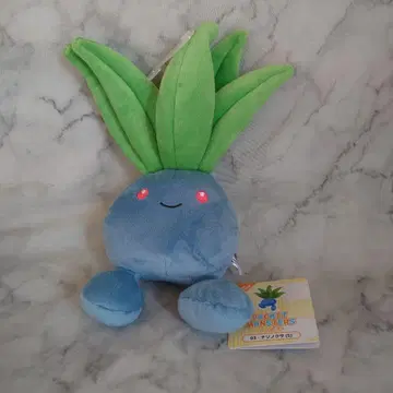 포켓몬 이상해씨 봉제 인형 산에이 무역