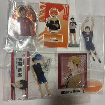 하이큐 아크릴 스탠드 히나타 카게야마 쿠로오 아카아시 미야 아츠무