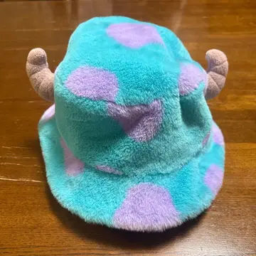 디즈니 샐리 햇