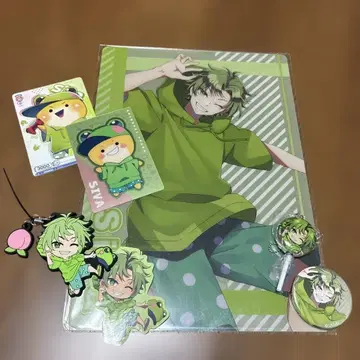 컬러풀 피치 시바 묶음 판매