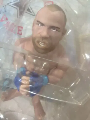 반다레이 시우바 피규어 종합격투기