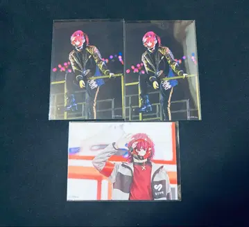 KnightA 기사A 바우군 실사 브로마이드 스토페스