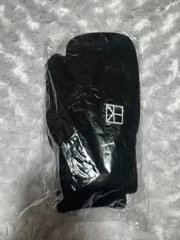 정용화 솔로 콘서트 장갑