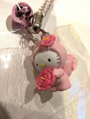 지역 한정 키티 족자 마츠다 리스 한정판 리스 다람쥐