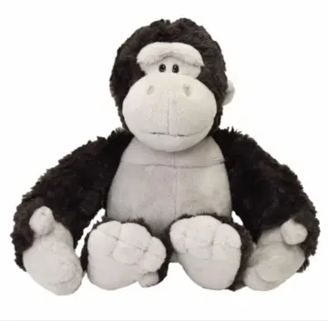 NICI [고릴라 2024] 시크 25cm