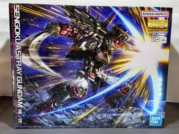 MG 1/100 전국 아스트레이 건담