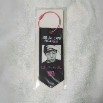 세계 미니 태피스트리 LDH LIVE-EXPO2024