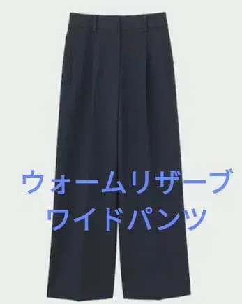 플라스테 웜 리저브 와이드 팬츠 울 블렌드 웜 리저브