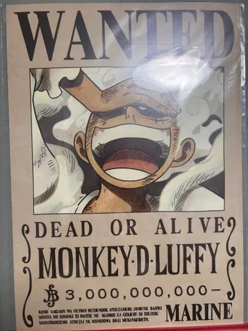 몽키 D 루피 WANTED 포스터